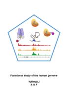 Functional study of the human genome