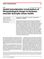 Spatial transcriptomics reveal markers of histopathological changes in Duchenne muscular dystrophy mouse models