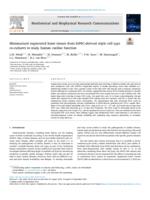 Miniaturized engineered heart tissues from hiPSC-derived triple cell type co-cultures to study human cardiac function