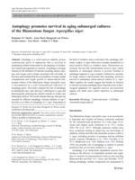 Autophagy promotes survival in aging submerged cultures of the filamentous fungus Aspergillus niger