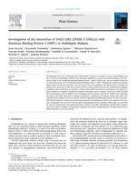 Investigation of the interaction of DAD1-LIKE LIPASE 3 (DALL3) with Selenium Binding Protein 1 (SBP1) in Arabidopsis thaliana