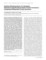 Infection-blocking genes of a symbiotic Rhizobium leguminosarum strain that are involved in temperature-dependent protein secretion