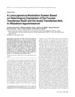 A Lotus japonicus Nodulation System Based on Heterologous Expression of the Fucosyl Transferase NodZ and the Acetyl Transferase NolL in Rhizobium leguminosarum