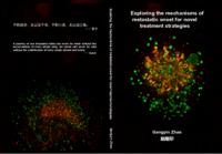 Exploring the mechanisms of metastatic onset for novel treatment strategies