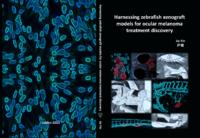 Harnessing zebrafish xenograft models for ocular melanoma treatment discovery