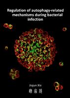 Regulation of autophagy-related mechanisms during bacterial infection