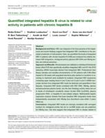 Quantified integrated hepatitis B virus is related to viral activity in patients with chronic hepatitis B