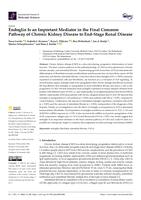 Endoglin is an important mediator in the final common pathway of chronic kidney disease to end-stage renal disease