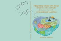 Integrating cellular and tissue dynamics with cell fate decisions through computational modeling