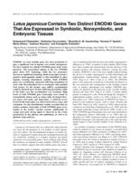 Lotus japonicus contains two distinct ENOD40 genes that are expressed in symbiotic, nonsymbiotic, and embryonic tissues