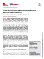 Species and condition shape the mutational spectrum in experimentally evolved biofilms