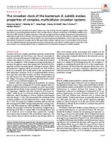 The circadian clock of the bacterium B. subtilis evokes properties of complex, multicellular circadian systems