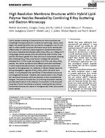 High resolution membrane structures within hybrid lipid-polymer vesicles revealed by combining X-ray scattering and electron microscopy