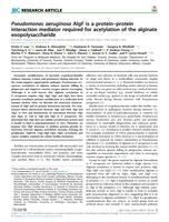 Pseudomonas aeruginosa AlgF is a protein-protein interaction mediator required for acetylation of the alginate exopolysaccharide