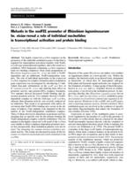 Mutants in the nodFEL promoter of Rhizobium leguminosarum bv. viciae reveal a role of individual nucleotides in transcriptional activation and protein binding