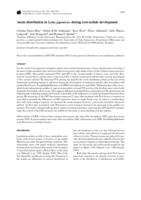 Auxin distribution in Lotus japonicus during root nodule development