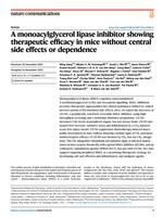 A monoacylglycerol lipase inhibitor showing therapeutic efficacy in mice without central side effects or dependence