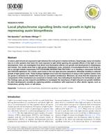 Local phytochrome signalling limits root growth in light by repressing auxin biosynthesis