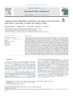 Cropping pattern optimization considering water shadow price and virtual water flows