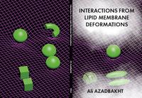 Interactions from lipid membrane deformations