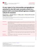A case report of an intracardiac paraganglioma attached to the left main coronary artery in a patient with a succinate dehydrogenase complex subunit D mutation