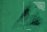 Spatiotemporal organization of organelles through membrane contact sites