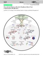 Non-activated esters as reactive handles in direct post-polymerization modification