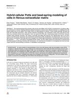 Hybrid cellular Potts and bead-spring modeling of cells in fibrous extracellular matrix