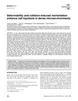 Deformability and collision-induced reorientation enhance cell topotaxis in dense microenvironments