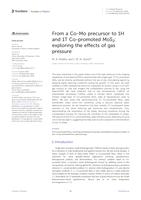 From a Co-Mo precursor to 1H and 1T Co-promoted MoS2: exploring the effects of gas pressure