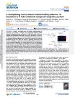 A multiplexing activity-based protein-profiling platform for dissection of a native bacterial xyloglucan-degrading system