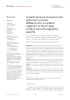 Amyloid beta accumulations and enhanced neuronal differentiation in cerebral organoids of Dutch-type cerebral amyloid angiopathy patients