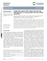 A high-field cellular DNP-supported solid-state NMR approach to study proteins with sub-cellular specificity