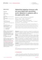 Adventitial adaptive immune cells are associated with ascending aortic dilatation in patients with a bicuspid aortic valve