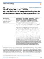ChAdOx1 nCoV-19 (AZD1222) vaccine-induced Fc receptor binding tracks with differential susceptibility to COVID-19