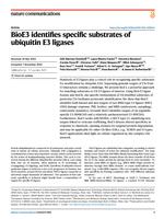 BioE3 identifies specific substrates of ubiquitin E3 ligases