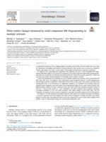 White matter changes measured by multi-component MR Fingerprinting in multiple sclerosis