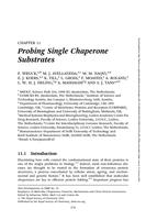Probing single chaperone substrates