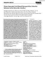 Phase-separated lipid-based nanoparticles