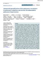 Automated quantification of the pulmonary vasculature in pulmonary embolism and chronic thromboembolic pulmonary hypertension