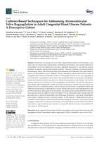 Catheter-based techniques for addressing atrioventricular valve regurgitation in adult congenital heart disease patients