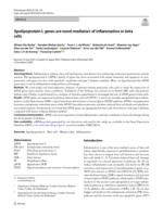 Apolipoprotein L genes are novel mediators of inflammation in beta cells