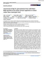 Assessment of IgG-Fc glycosylation from individual RhD-specific B cell clones reveals regulation at clonal rather than clonotypic level