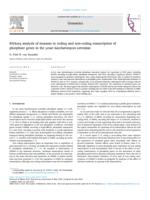 RNAseq analysis of mutants in coding and non-coding transcription of phosphate genes in the yeast Saccharomyces cerevisiae