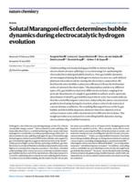 Solutal Marangoni effect determines bubble dynamics during electrocatalytic hydrogen evolution