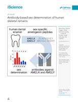 Antibody-based sex determination of human skeletal remains