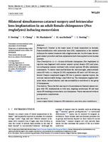 Bilateral simultaneous cataract surgery and intraocular lens implantation in an adult female chimpanzee (Pan troglodytes) inducing monovision