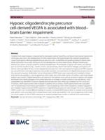 Hypoxic oligodendrocyte precursor cell-derived VEGFA is associated with blood-brain barrier impairment