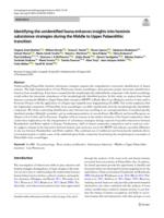 Identifying the unidentified fauna enhances insights into hominin subsistence strategies during the Middle to Upper Palaeolithic transition