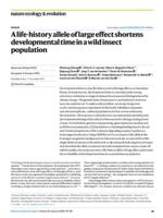 A life-history allele of large effect shortens developmental time in a wild insect population